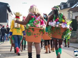 Umzug in Koenen 2025